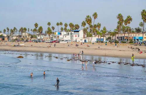 Ocean Beach Apartment | Oceanfront Studio with Balcony, Pet Friendly Retreat