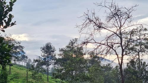 Vayittiri Villa | Family-Friendly Getaway at Destinesia Ville 02