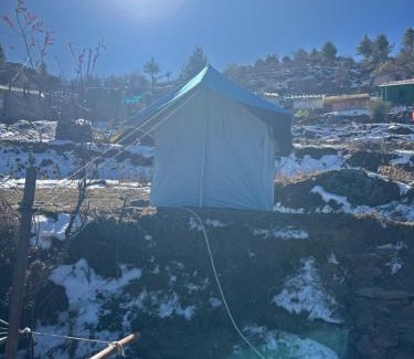 Auli Other | Affordable Budget Camp: Pet Friendly & Family Ready