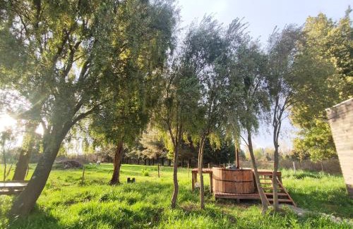 Cabrero House | Discover Quinta Los Cipreses: Family & Pet-Friendly Retreat