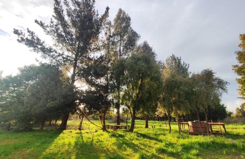 Cabrero House | Discover Quinta Los Cipreses: Family & Pet-Friendly Retreat