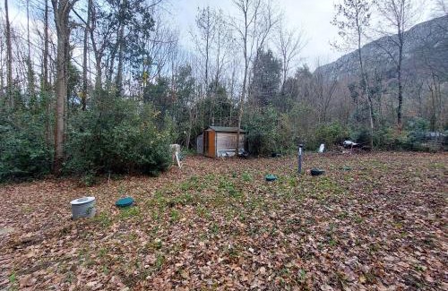 Saint-Andre Villa | Cozy P'tit Case Créole: Family and Pet-Friendly Escape