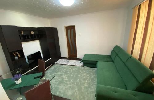 Borsec Apartment | Family-Friendly Stay at Apartament Borsec - Great Value