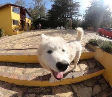 La Calera Villa | Experience Comfort at Casa De Campo: Pet-Friendly Retreat