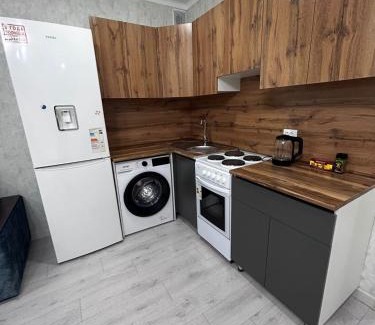 Semipalatinsk Apartment | Comfort Class Apartments: Ideal for Families and Budget-Friendly