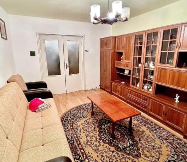 Tirgu Mures Apartment | Inviting Flat with Wheelchair Access & Perfect Guest Rating