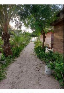 Isla Aguada Apartment | Relax in CABAÑAS ICACOS: Pet and Child Friendly Retreat