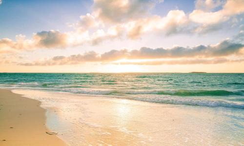 Bacnotan Apartment | Cozy Wave Beach House - Pet and Child Friendly Retreat