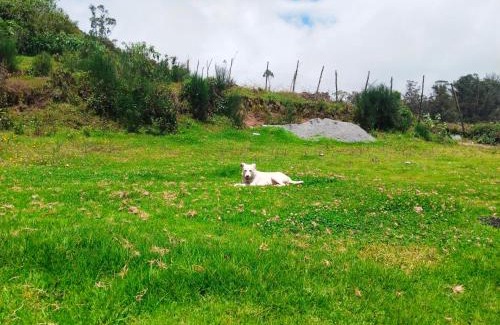 Ooty Resort | Ooty Dreams Resort: Rated 10/10 with Family-Friendly Amenities