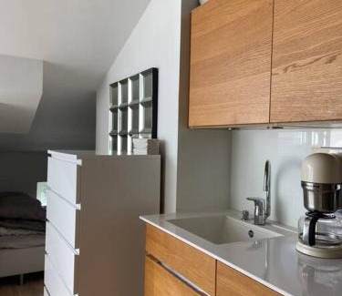 Ullanlinna Apartment | Stylish Penthouse Loft with Pet-Friendly Amenities