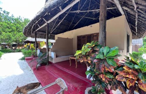Mafia Island Bed & Breakfast | Explore the Mafia Whale Shark Safari at Afro Beach