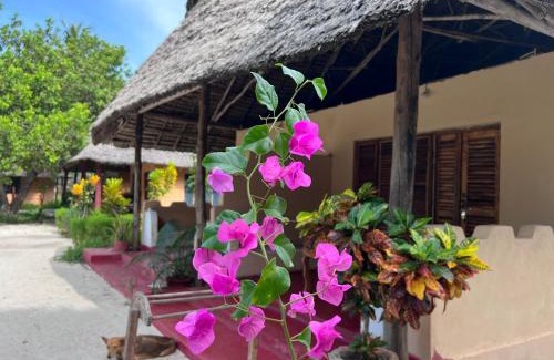 Mafia Island Bed & Breakfast | Explore the Mafia Whale Shark Safari at Afro Beach