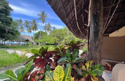 Mafia Island Bed & Breakfast | Explore the Mafia Whale Shark Safari at Afro Beach