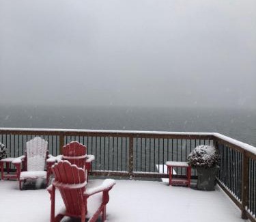 Brock Resort | Discover Alice’s Wonderland: Ocean View & Pet Friendly Retreat