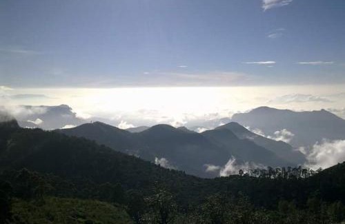 Kodaikanal Resort | Inviting Experience at The Place with Family-Friendly Amenities