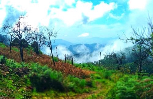 Kodaikanal Resort | Inviting Experience at The Place with Family-Friendly Amenities