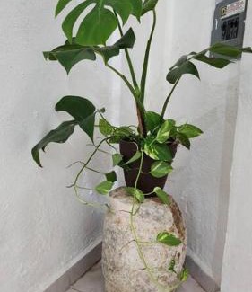 Uman Apartment | Pet-Friendly Getaway at Casa Rouge: Family Welcomes You