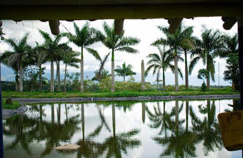 Filandia Apartment | Family-Friendly Cabañas with Breakfast & Pet Access