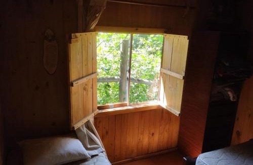 Lican Ray Apartment | Family-Friendly Getaway at Lican Ray 2024