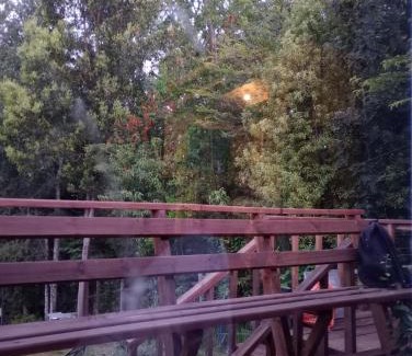 Lican Ray Apartment | Family-Friendly Getaway at Lican Ray 2024