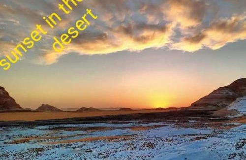 Bawati Other | Desert Oasis Camp: Pet-Friendly Retreat with Ocean Views