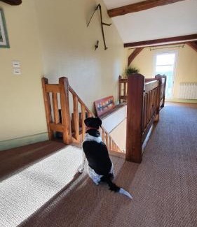 Chamouilley House | Discover Le Moulin de Chamouilley: Pet-Friendly Oceanfront Retreat