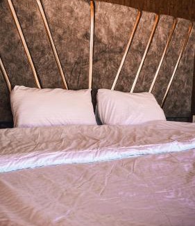 Wadi Rum Other | Experience Comfort at Misk Rum Camp - Pet Friendly Retreat