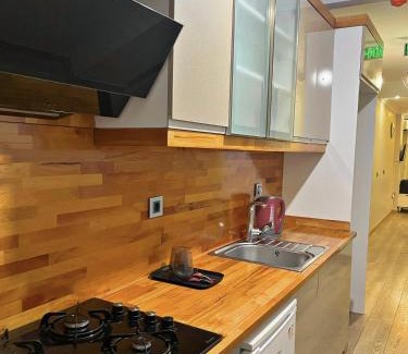 Bakırkoy Apartment | Convenient Stay at The Pashaam Suit Bakırköy with Kitchen