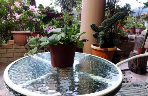 Cajamarca House | Cozy Countryside Room Perfect for Families and Nature Lovers