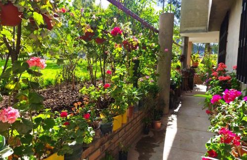 Cajamarca House | Cozy Countryside Room Perfect for Families and Nature Lovers