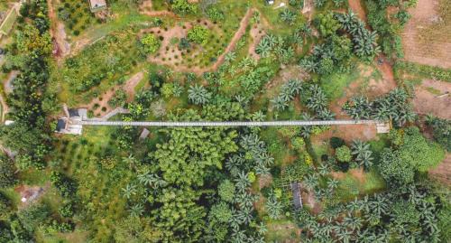 San Mateo Other | Adventure Awaits at UCM Adventure Park with Family Amenities