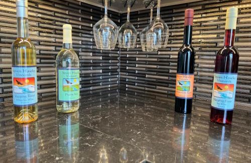 Fountain City House | Discover Dragonfly Loft: Pet and Child Friendly Escape