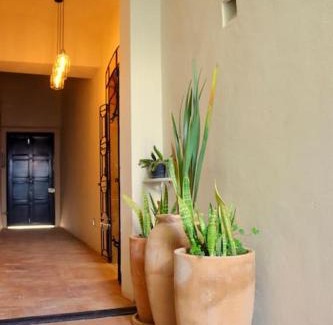 Leon Centro Apartment | Accessible First-Floor Getaway in Central Zone