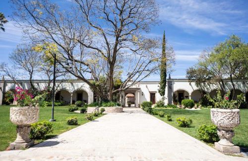 Comonfort Hotel | Indulge in New Suite Comfort near Vineyards and Serenity