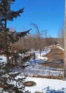 Ottawa Division House | Serene Nature Retreat with Inviting Hot Tub Experience