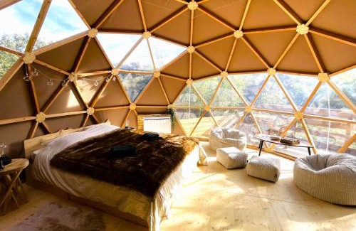 Rocbaron Other | Experience Dôme Sirius - A Starry Getaway in Provence