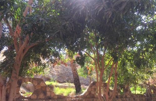 Bawati Hotel | Pet-Friendly Retreat at New Oasis: Family Welcoming Getaway
