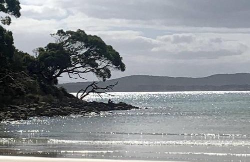 Apollo Bay House | Secluded Waterfront Retreat on Bruny Island: 10/10 Guest Rated