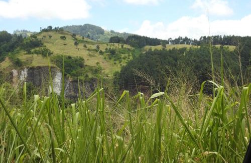 Moragolla House | Relaxing Nature Trails Home with Pool and Pet-Friendly Perks