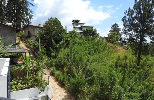 Moragolla House | Relaxing Nature Trails Home with Pool and Pet-Friendly Perks