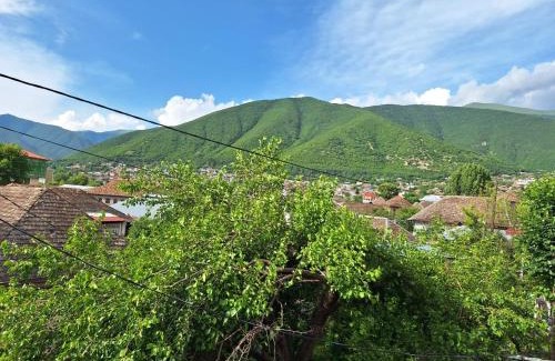 Sheki House | Cozy Qonaq Ol: Family-Friendly and Pet Welcoming Retreat