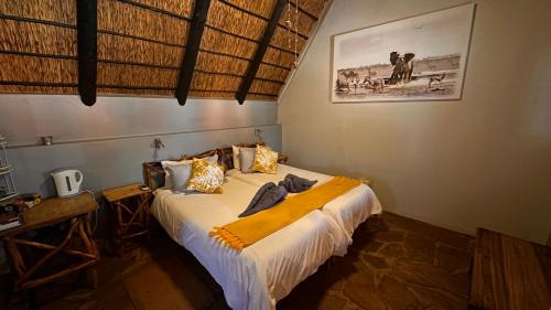 Otavi Cabin | Discover Ohange Namibia Lodge with Pool and Family Amenities