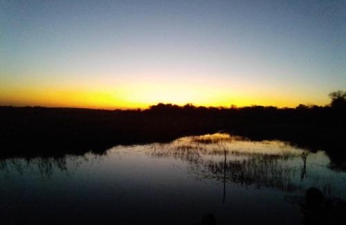 Kongola Other | Pet-Friendly Thetu Campsite: Guest Rated 10/10 Experience