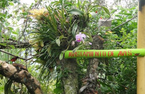 Paicol House | Discover Finca Ecoturística Tierra Blanca - Pet Friendly Retreat