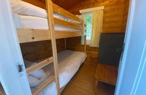 Bronaber House | Cozy Cabin Retreat: Pet-Friendly with Kitchen Amenities