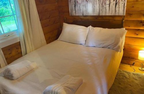Bronaber House | Cozy Cabin Retreat: Pet-Friendly with Kitchen Amenities