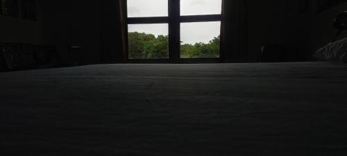 Kimbissa House | Pet-Friendly Comfort at Peacock House with Breakfast Included