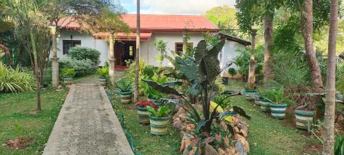 Kimbissa House | Pet-Friendly Comfort at Peacock House with Breakfast Included