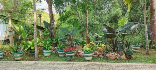 Kimbissa House | Pet-Friendly Comfort at Peacock House with Breakfast Included