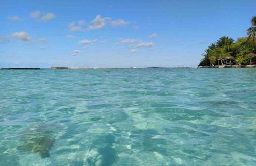 Thinadhoo House | Oyster Residence: Oceanfront Retreat with Private Beach